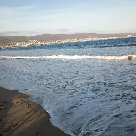 гербер 3 * Sunny Beach
